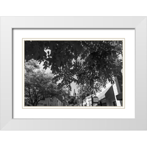 Maryland Capital White Modern Wood Framed Art Print with Double Matting by Malone, Will