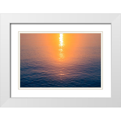 Morning Sun White Modern Wood Framed Art Print with Double Matting by Malone, Will