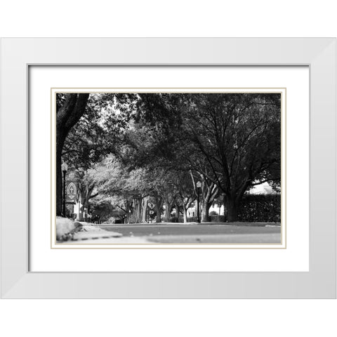 5th Ave White Modern Wood Framed Art Print with Double Matting by Malone, Will
