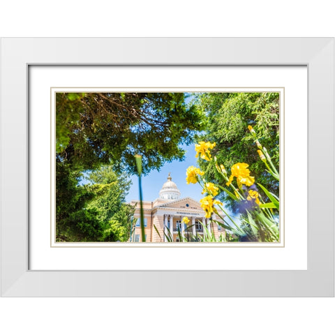 Henderson County Courthouse White Modern Wood Framed Art Print with Double Matting by Malone, Will