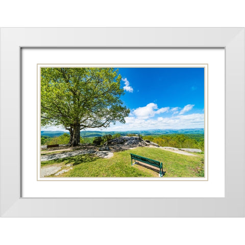 Laurel Park White Modern Wood Framed Art Print with Double Matting by Malone, Will