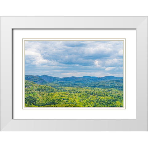 In the Distance White Modern Wood Framed Art Print with Double Matting by Malone, Will