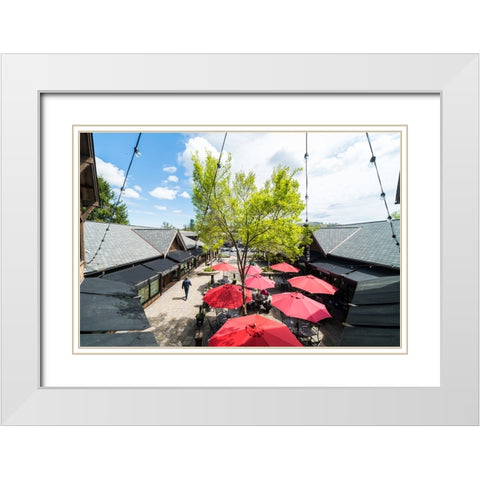 Sunny Lunch White Modern Wood Framed Art Print with Double Matting by Malone, Will