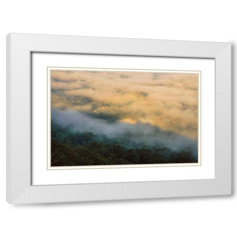 Golden Morning 4 White Modern Wood Framed Art Print with Double Matting by Malone, Will