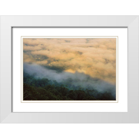 Golden Morning 4 White Modern Wood Framed Art Print with Double Matting by Malone, Will