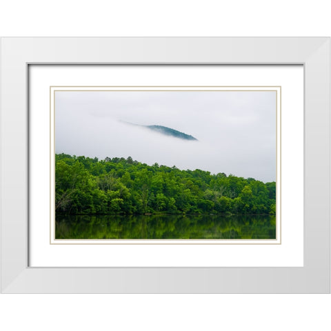 Hidden White Modern Wood Framed Art Print with Double Matting by Malone, Will