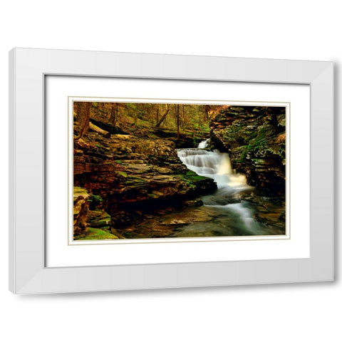 Secret Waterfall White Modern Wood Framed Art Print with Double Matting by Malone, Will