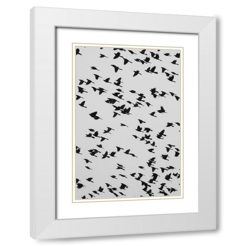 The Birds White Modern Wood Framed Art Print with Double Matting by Malone, Will
