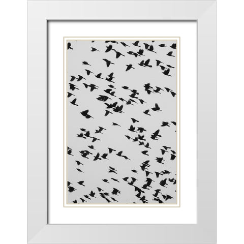 The Birds White Modern Wood Framed Art Print with Double Matting by Malone, Will