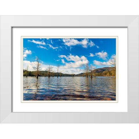 Midday Ocoee White Modern Wood Framed Art Print with Double Matting by Malone, Will