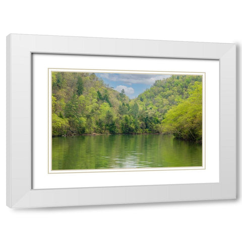 Ocoee Calm White Modern Wood Framed Art Print with Double Matting by Malone, Will