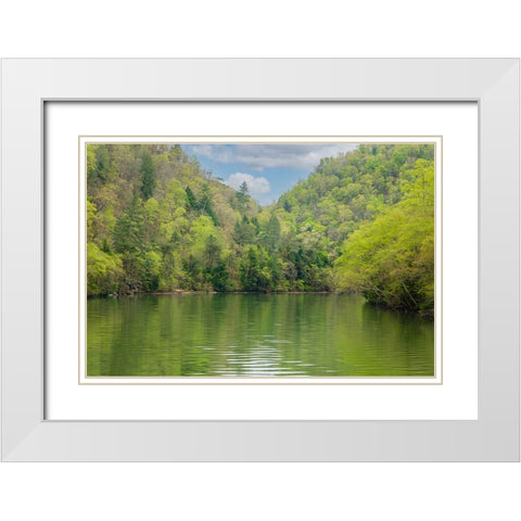 Ocoee Calm White Modern Wood Framed Art Print with Double Matting by Malone, Will