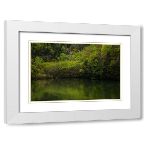 Ocoee Calm 2 White Modern Wood Framed Art Print with Double Matting by Malone, Will
