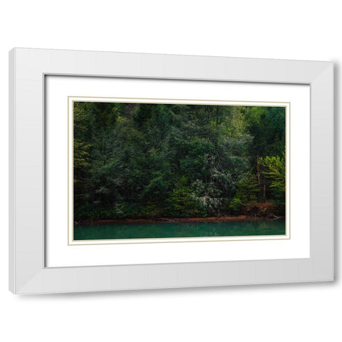 Ocoee Calm 3 White Modern Wood Framed Art Print with Double Matting by Malone, Will