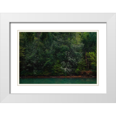 Ocoee Calm 3 White Modern Wood Framed Art Print with Double Matting by Malone, Will