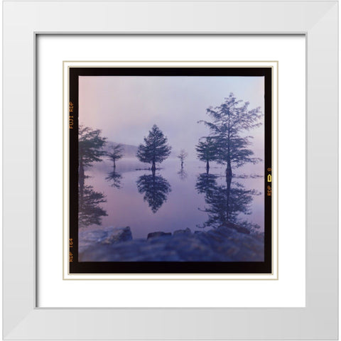 Ocoee Fog White Modern Wood Framed Art Print with Double Matting by Malone, Will