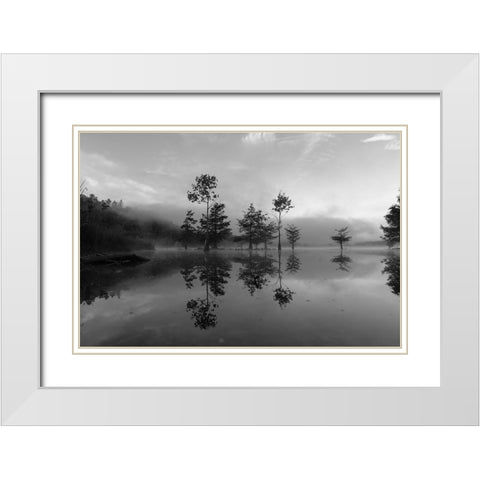 Ocoee Fog 4 White Modern Wood Framed Art Print with Double Matting by Malone, Will