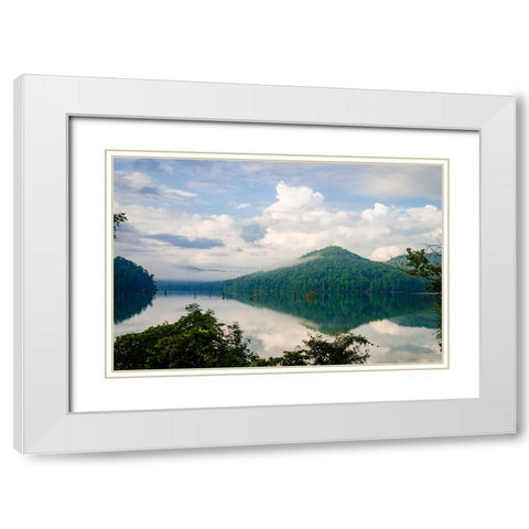 Ocoee Mist White Modern Wood Framed Art Print with Double Matting by Malone, Will