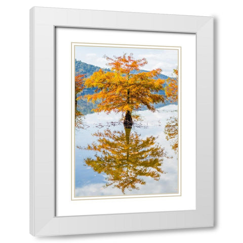 Orange Blast White Modern Wood Framed Art Print with Double Matting by Malone, Will