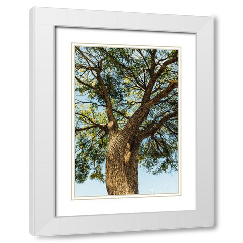 Hill Country 2 White Modern Wood Framed Art Print with Double Matting by Malone, Will