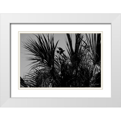 Bird of Palms White Modern Wood Framed Art Print with Double Matting by Malone, Will