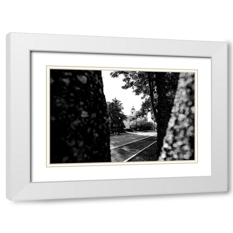 Through the Trees 2 White Modern Wood Framed Art Print with Double Matting by Malone, Will