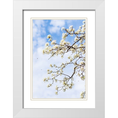 Welcome to Spring White Modern Wood Framed Art Print with Double Matting by Malone, Will