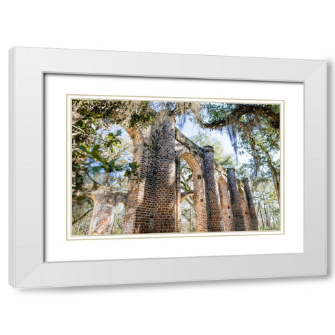 Old Sheldon 3 White Modern Wood Framed Art Print with Double Matting by Malone, Will