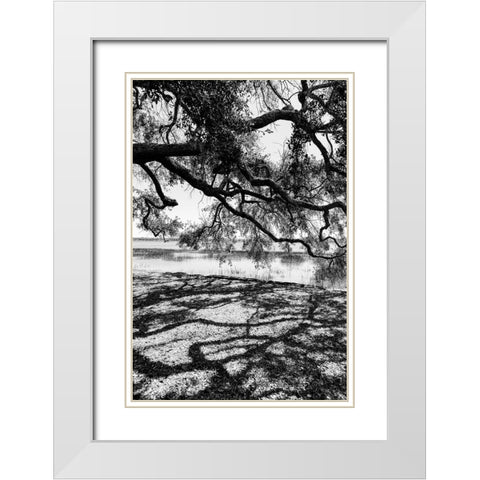Shady Spot White Modern Wood Framed Art Print with Double Matting by Malone, Will