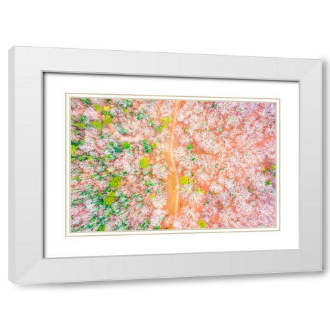 Dirt Road White Modern Wood Framed Art Print with Double Matting by Malone, Will