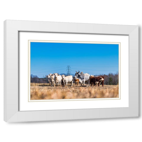 Drawing a Crowd 2 White Modern Wood Framed Art Print with Double Matting by Malone, Will