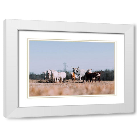 Drawing a Crowd Re-edit White Modern Wood Framed Art Print with Double Matting by Malone, Will