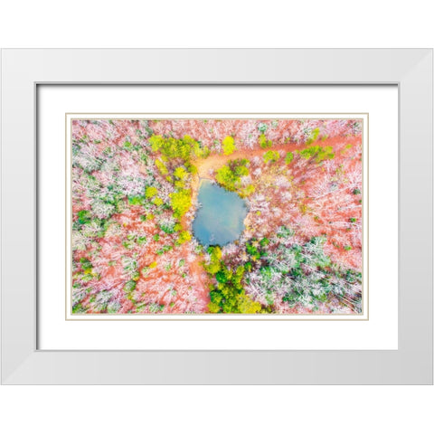 Pond in the Woods  White Modern Wood Framed Art Print with Double Matting by Malone, Will