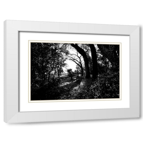 Bench White Modern Wood Framed Art Print with Double Matting by Malone, Will
