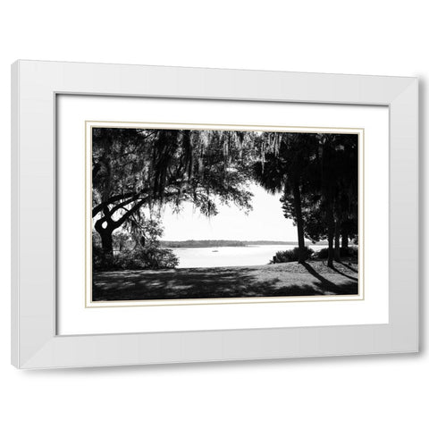 Bluffton Scene  White Modern Wood Framed Art Print with Double Matting by Malone, Will