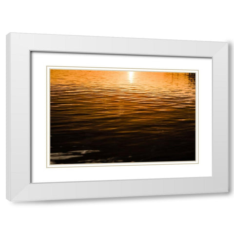 Golden 3 White Modern Wood Framed Art Print with Double Matting by Malone, Will
