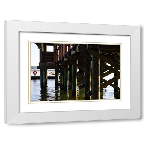 Salty Dog White Modern Wood Framed Art Print with Double Matting by Malone, Will