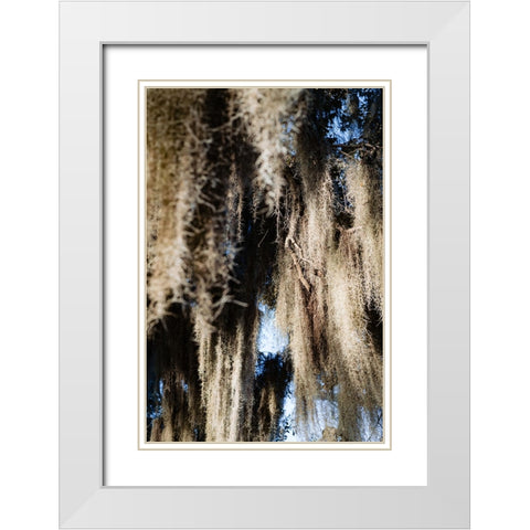 Spanish Moss 4 White Modern Wood Framed Art Print with Double Matting by Malone, Will