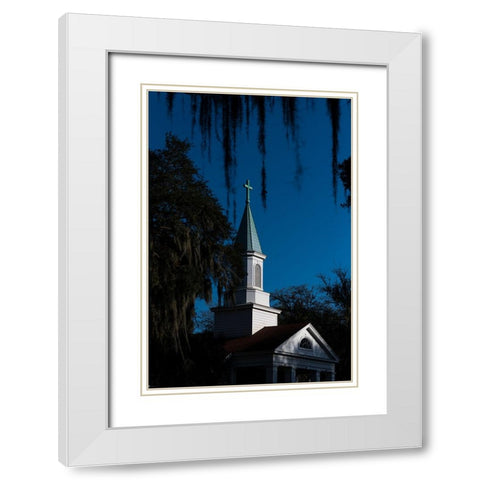 Spanish Moss Steeple White Modern Wood Framed Art Print with Double Matting by Malone, Will