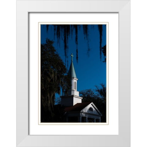 Spanish Moss Steeple White Modern Wood Framed Art Print with Double Matting by Malone, Will