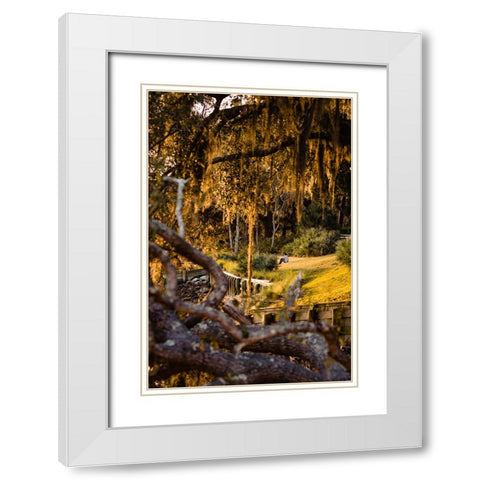 Sunset Spectator White Modern Wood Framed Art Print with Double Matting by Malone, Will