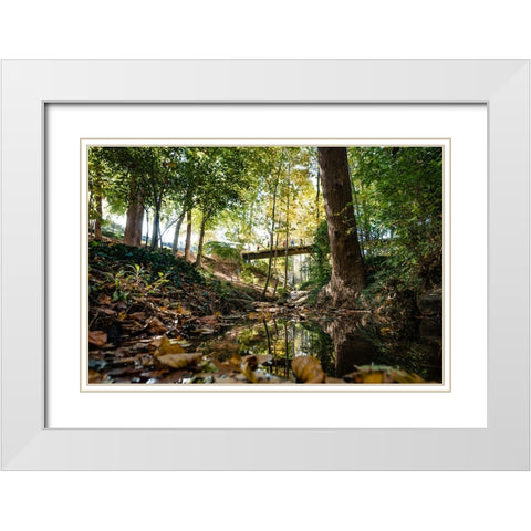 Fall Bridge White Modern Wood Framed Art Print with Double Matting by Malone, Will