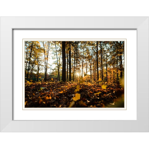 Fall Morning  White Modern Wood Framed Art Print with Double Matting by Malone, Will