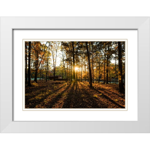 Fall Morning 2 White Modern Wood Framed Art Print with Double Matting by Malone, Will