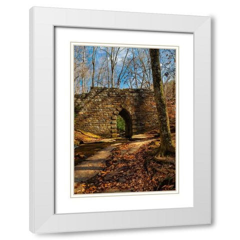Poinsett Bridge White Modern Wood Framed Art Print with Double Matting by Malone, Will