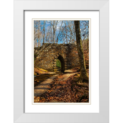 Poinsett Bridge White Modern Wood Framed Art Print with Double Matting by Malone, Will