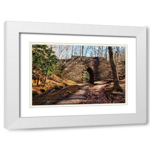 Poinsett Bridge 2 White Modern Wood Framed Art Print with Double Matting by Malone, Will