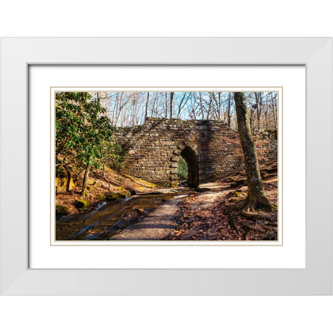 Poinsett Bridge 2 White Modern Wood Framed Art Print with Double Matting by Malone, Will