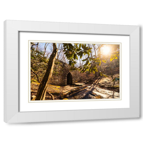 Poinsett Bridge 3 White Modern Wood Framed Art Print with Double Matting by Malone, Will