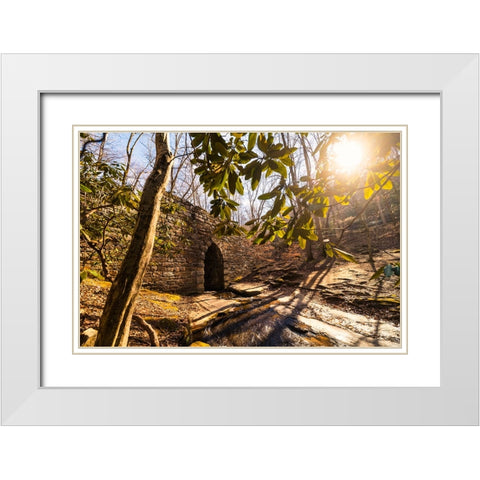 Poinsett Bridge 3 White Modern Wood Framed Art Print with Double Matting by Malone, Will